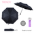 28447 - PARAGUAS TRENDY MANUAL - comprar online