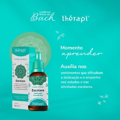 Floral Escolare | Floral de Bach Thérapi 30ml - comprar online