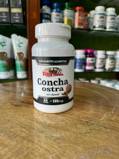 Concha de Ostra | Rei Terra 60 cápsulas - comprar online
