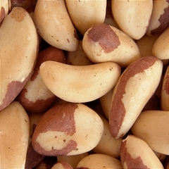 Castanha do Pará média - comprar online