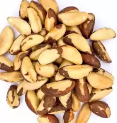 Castanha do Pará média