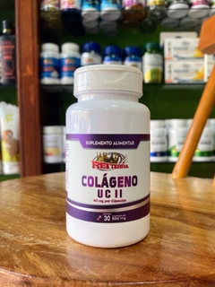Colágeno Tipo 2 | Rei Terra 30 cápsulas - comprar online