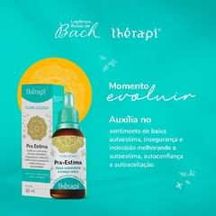 Floral Pra Estima | Floral de Bach Thérapi 30ml - comprar online