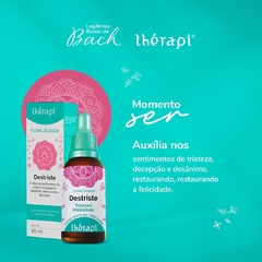 Floral Destriste | Floral de Bach Thérapi 30ml - comprar online