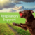 Suplemento Suporte Respiratório Cão - Pet Wellbein - ZTCompras