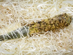 KIT LIMPIEZA ENERGETICA