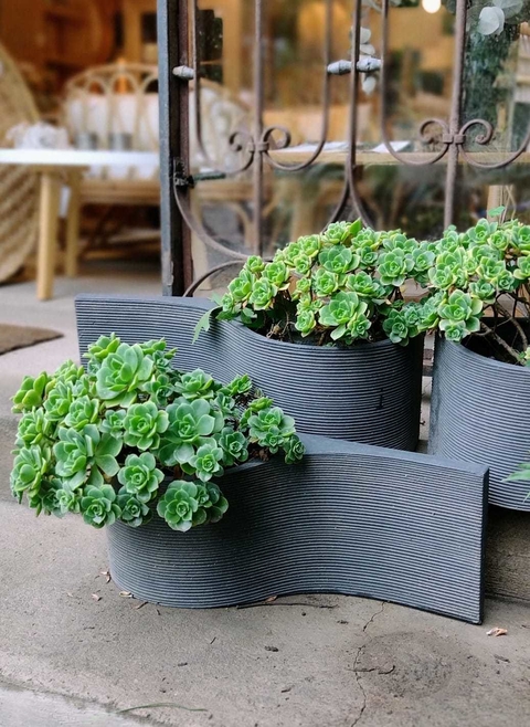 maceta de pared negra con suculentas - COD. 413 -