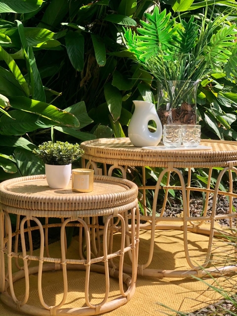 RATONA GRANDE DUO RATAN - COD 3166 -