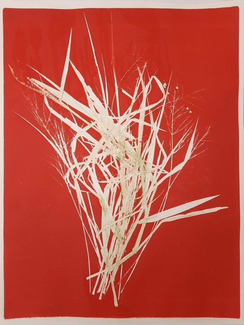 Santidio Pereira #11