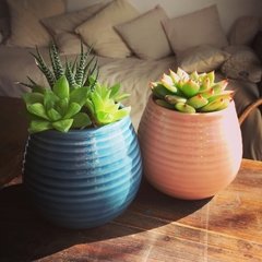 Maceta Alfa chica - comprar online
