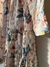 Vestido Rose Print • Zara en internet