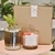 Box Amor en internet
