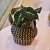 Alocasia Black velvet - comprar online