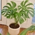 Monstera Deliciosa n22 - Maranta