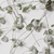 Ceropegia Woodii - comprar online
