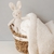 Combo Rabbit