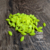 NAVETE PONTUDO AMARELO NEON 4x8MM