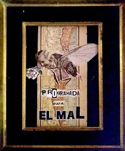 Collages Mane Armando