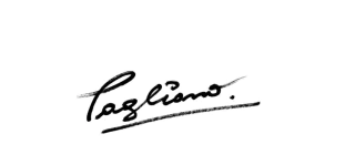 Bruno Pagliano Artista