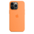 Case Silicone com Magsafe para iPhone
