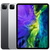 iPad Pro 11- inch Wi-Fi 256GB - (2nd Generation) na internet