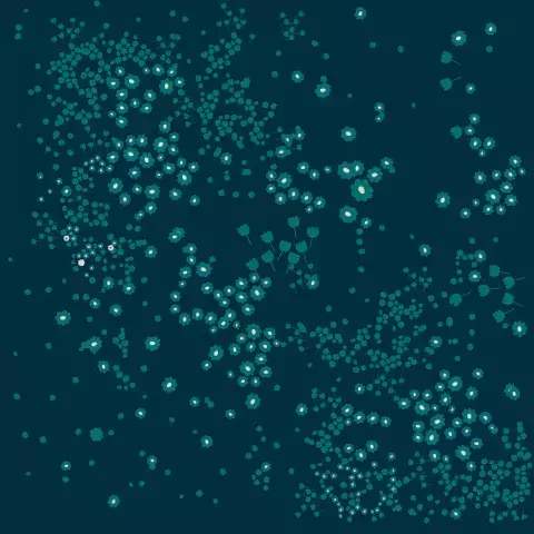 Cartulina "Amelia rose 5" - comprar online