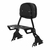 Sissy bar Roadster - comprar online