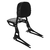 Sissy bar Dyna