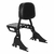 Sissy bar Roadster