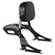 Sissy bar Softail Street Bob Slim Low Rider 2018-2023