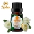 Óleo Essencial Rosa Branca 5ml (Rosa alba) Diluída a 10%