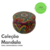 Coleção Mandala - Vela Terapêutica Aromática 130g - comprar online