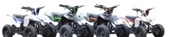 Banner de la categoría PAGANI