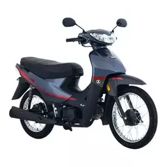 ZB 110 LT - comprar online