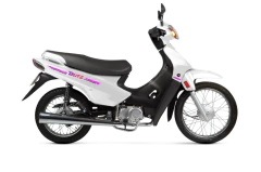 MOTOMEL BLITZ 110 v8 en internet