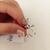 Anillo Ojito en internet
