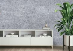 Mural Textura Cemento