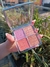 PALETA DE BLUSH VOGLIA - ALYCE GONTIJO