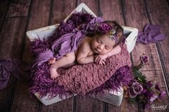 Estrela acompanhamento - comprar online