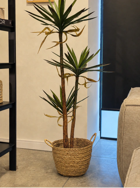 Canasto Seagrass L