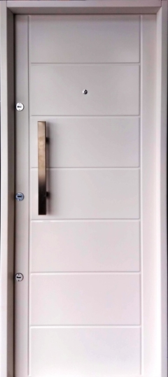 puerta inyectada 654