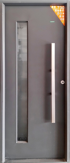 Puerta inyectada 730