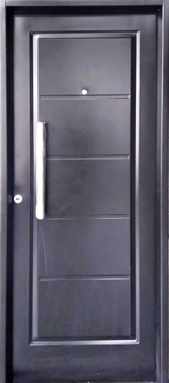 Puerta inyecada 517
