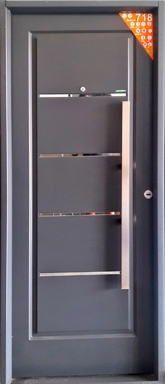 Puerta inyecada 718