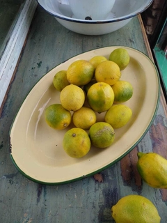 Bandeja fuente de chapa enlozada - tienda online