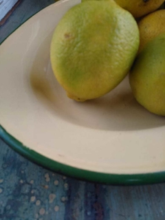 Imagen de Bandeja fuente de chapa enlozada