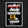 Stevie Wonder