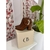 BOTINETAS TURQUE - comprar online