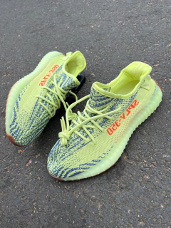 Adidas Yeezy Boost 350 V2 Frozen na internet