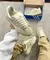 Adidas Campus x Bad Bunny na internet